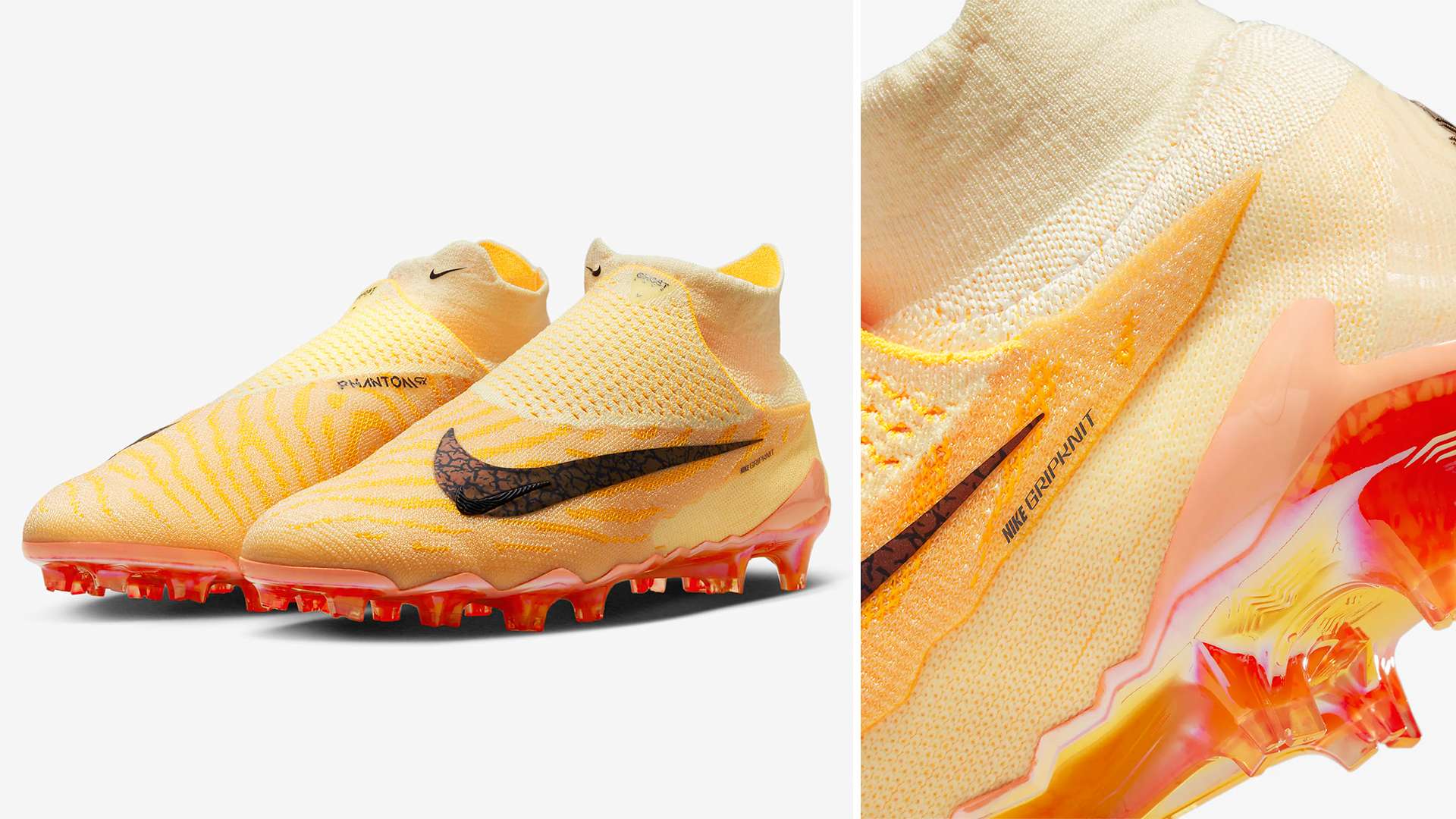 不仅丰富了 不仅丰富了