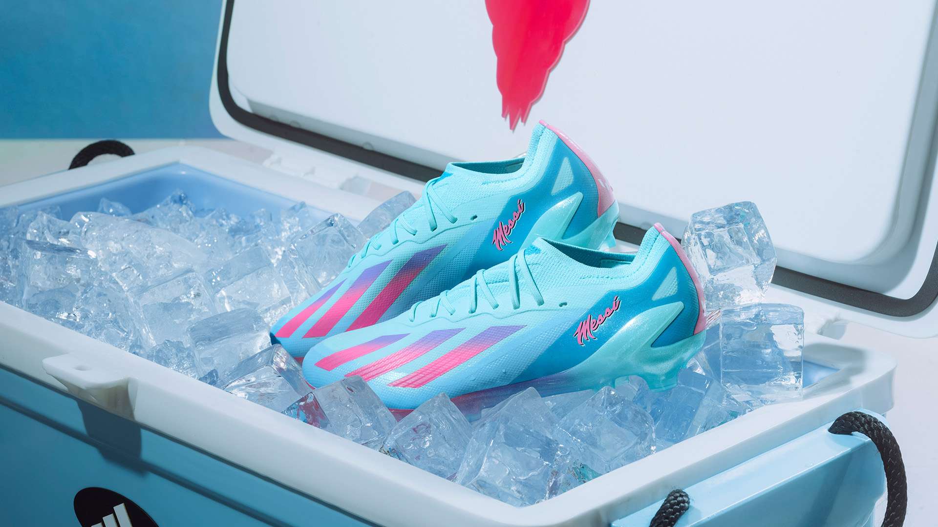 保定男排 保定男排